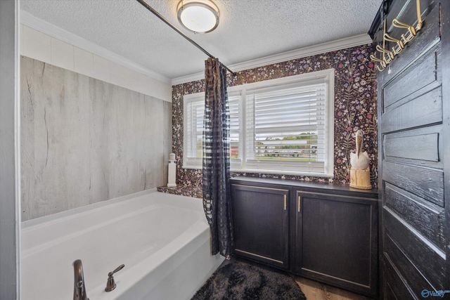 196 Curt Road, New Hope, AL 35760