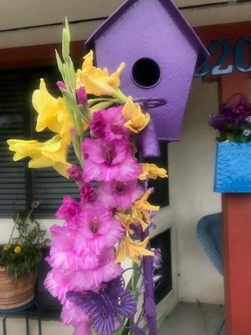 6205 Hannett Avenue NE, Albuquerque, NM 87110