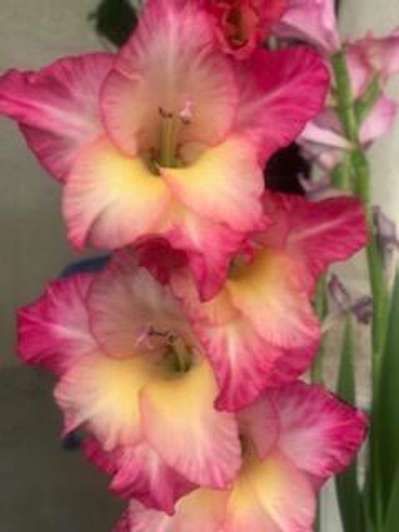 Image 24 of property listing at 6205 Hannett Avenue NE, Albuquerque, NM 87110