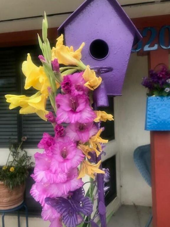 Image 25 of property listing at 6205 Hannett Avenue NE, Albuquerque, NM 87110