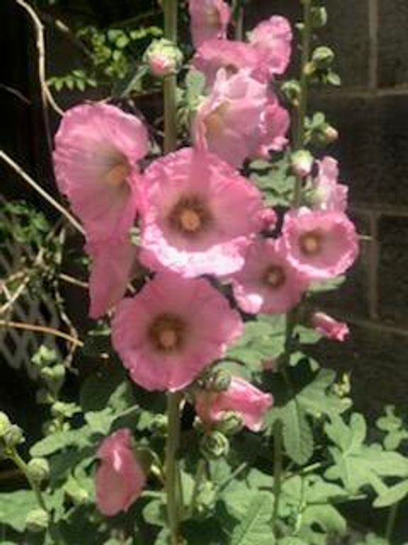 Image 46 of property listing at 6205 Hannett Avenue NE, Albuquerque, NM 87110