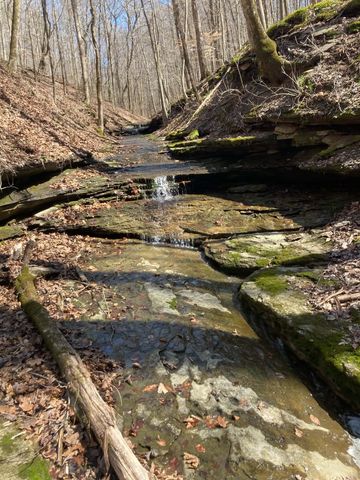 1810 Holland Rd, Lafayette, TN 37083