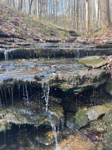 1810 Holland Rd, Lafayette, TN 37083