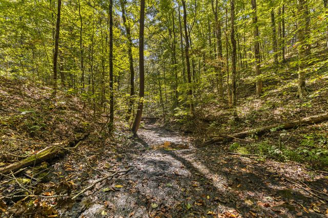 1810 Holland Rd, Lafayette, TN 37083