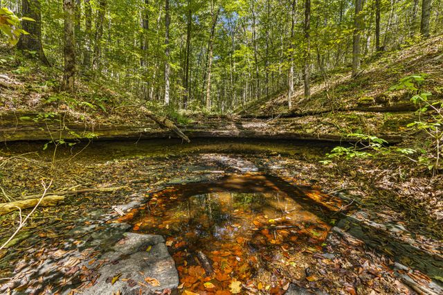 1810 Holland Rd, Lafayette, TN 37083