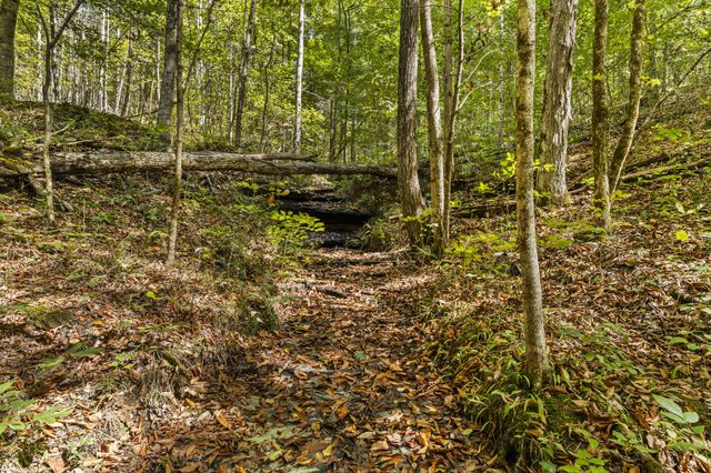 1810 Holland Rd, Lafayette, TN 37083