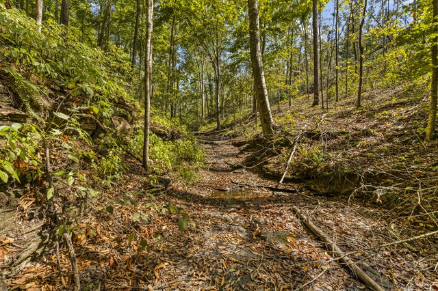 1810 Holland Rd, Lafayette, TN 37083