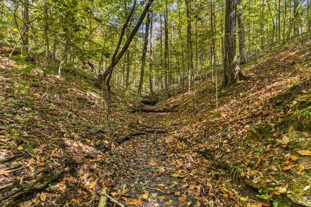 1810 Holland Rd, Lafayette, TN 37083