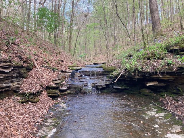 1810 Holland Rd, Lafayette, TN 37083