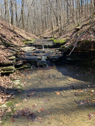 1810 Holland Rd, Lafayette, TN 37083