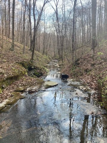 1810 Holland Rd, Lafayette, TN 37083