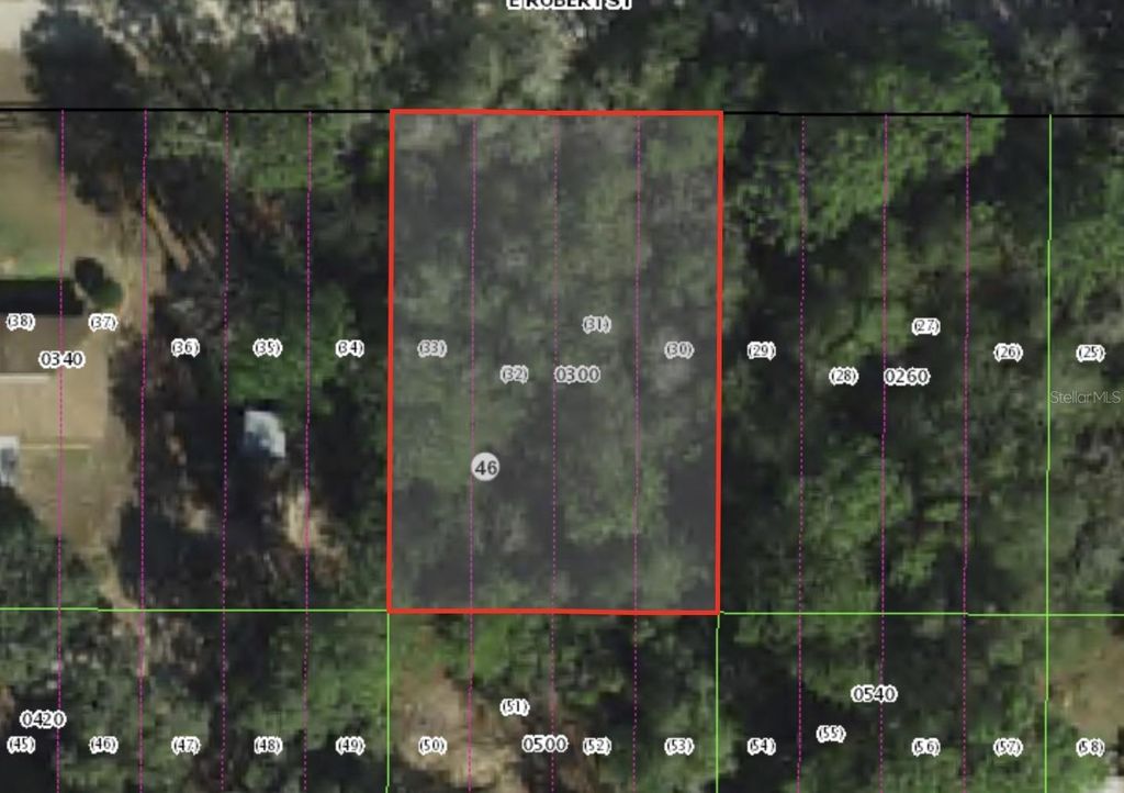 3046 E ROBERT ST, Inverness, FL 34453