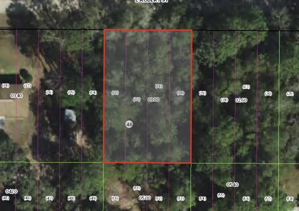 3046 E ROBERT ST, Inverness, FL 34453