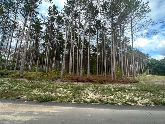 Lot 48 Cascade Trail, Long Lake Twp, MI 49685