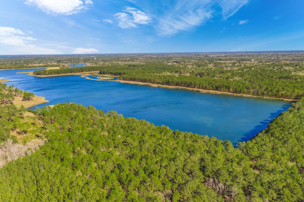 Image 47 of property listing at 228 Shortmarsh Street, Summerville, SC 29486