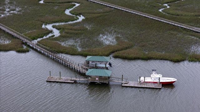 1430 Marsh Bluff Court, Edisto Island, SC 29438