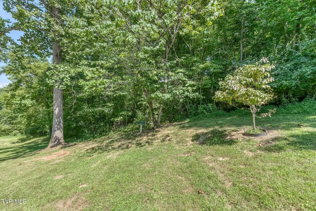 117 Locust Winds Drive, Elizabethton, TN 37643