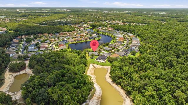 26641 WINGED ELM DRIVE, Wesley Chapel, FL 33544