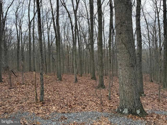 420 COON HOLLOW TRL, Hedgesville, WV 25427