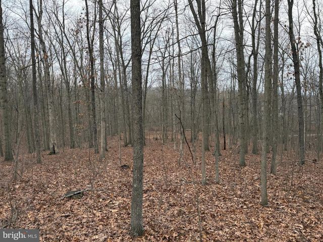 420 COON HOLLOW TRL, Hedgesville, WV 25427