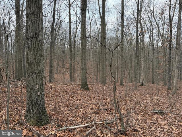 420 COON HOLLOW TRL, Hedgesville, WV 25427