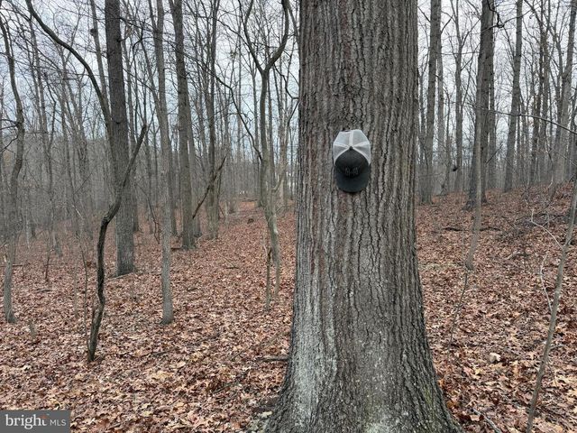 420 COON HOLLOW TRL, Hedgesville, WV 25427