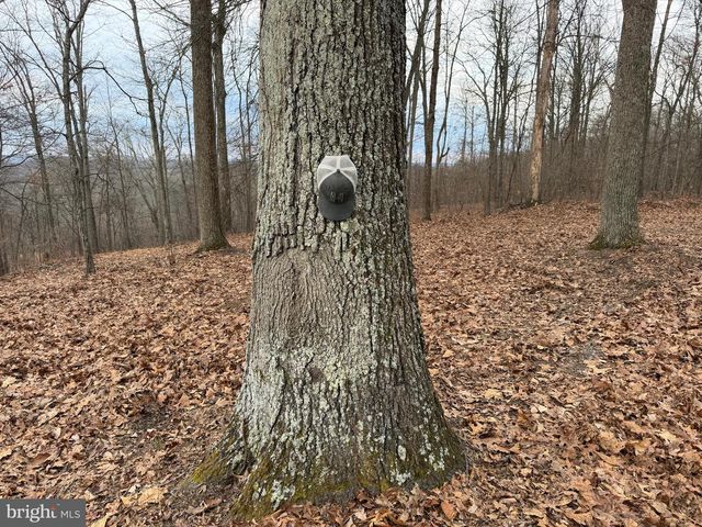 420 COON HOLLOW TRL, Hedgesville, WV 25427