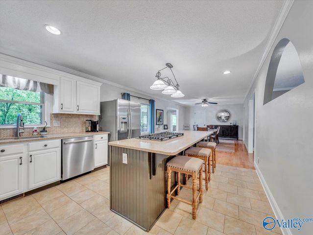 2101 Wyeth Drive, Guntersville, AL 35976