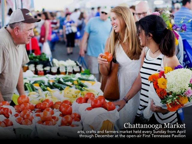 659 Bespoke Way, Chattanooga, TN 37403