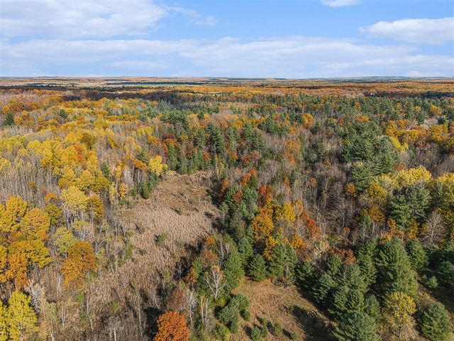 15778 Peters Farm Road, Irons, MI 49644