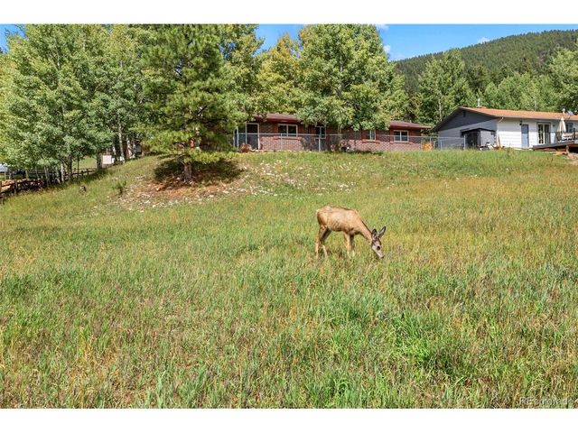 1035 Park View, Woodland Park, CO 80863
