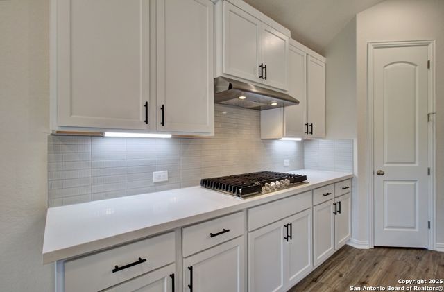 1727 Heritage Maples, New Braunfels, TX 78132