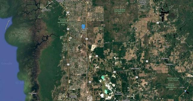 29 HIGHWOOD PATH, Homosassa, FL 34446