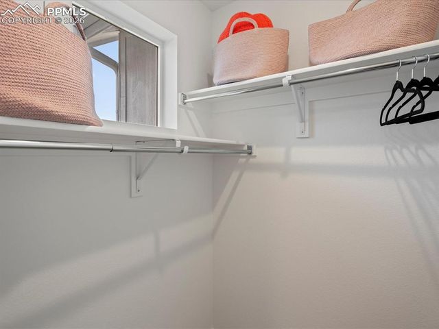 10748 Lewanee Point, Colorado Springs, CO 80908