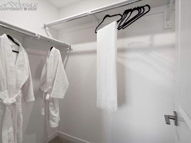 10748 Lewanee Point, Colorado Springs, CO 80908