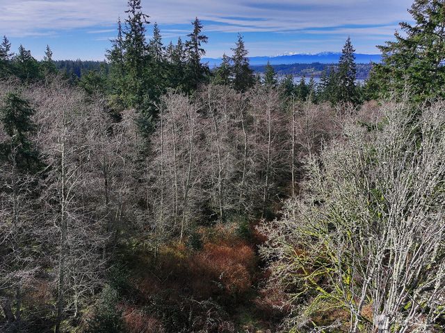 0 Goss Lake Road, Freeland, WA 98249