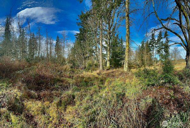 0 Goss Lake Road, Freeland, WA 98249