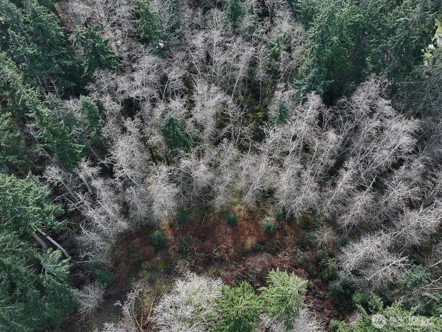 0 Goss Lake Road, Freeland, WA 98249