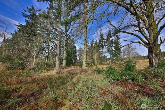 0 Goss Lake Road, Freeland, WA 98249