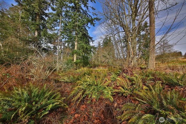 0 Goss Lake Road, Freeland, WA 98249