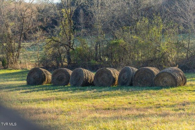 Tbd Nelse Roberts Road, Greeneville, TN 37745