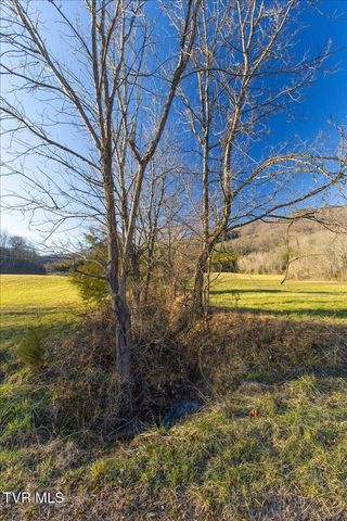 Tbd Nelse Roberts Road, Greeneville, TN 37745