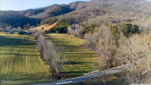 Tbd Nelse Roberts Road, Greeneville, TN 37745