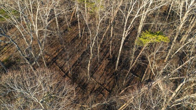 Tbd Nelse Roberts Road, Greeneville, TN 37745