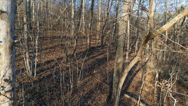 Tbd Nelse Roberts Road, Greeneville, TN 37745
