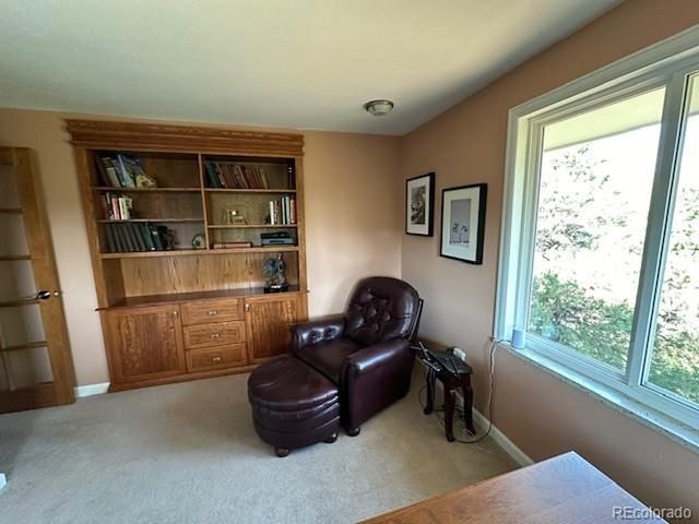 6227 Colorow Dr, Morrison, CO 80465