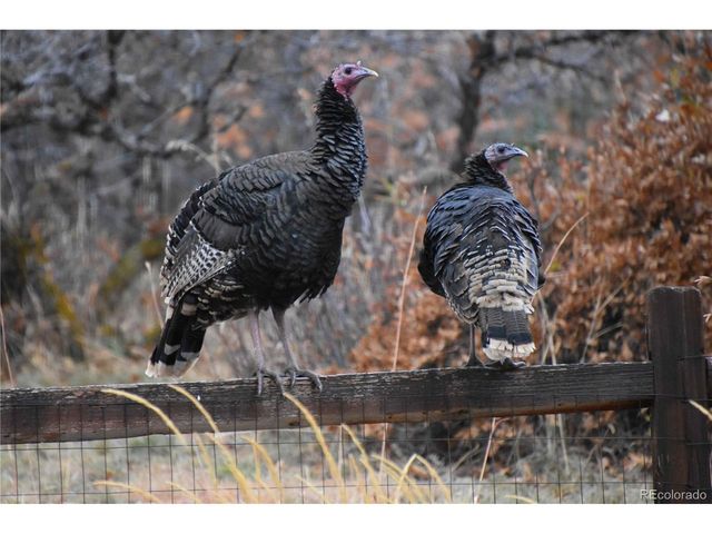 6227 Colorow Dr, Morrison, CO 80465