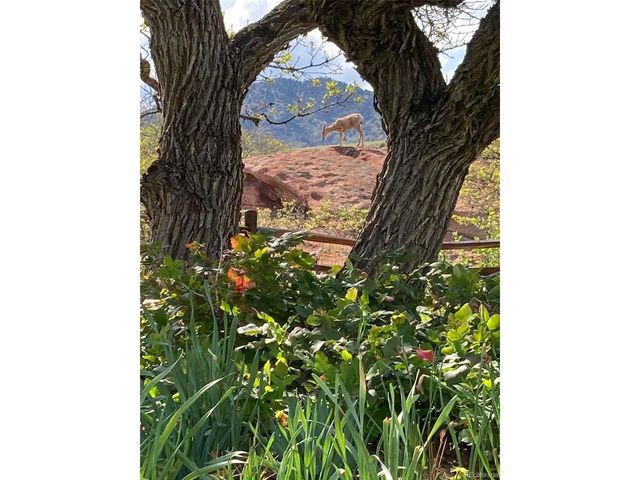 6227 Colorow Dr, Morrison, CO 80465