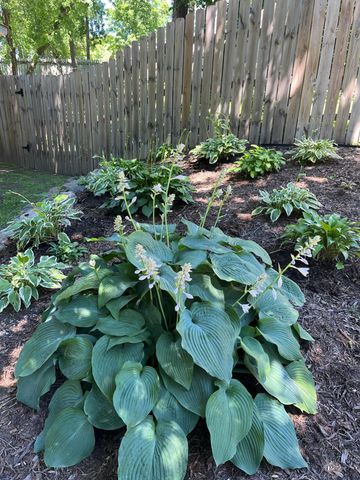 4510 County Road 50 SE, Delano, MN 55328