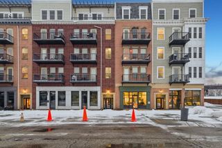 342 River Street 3402, Lemont, IL 60439